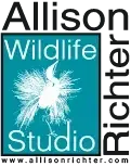 Allison Richter Wildlife Studio