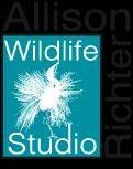 Allison Richter Wildlife Studio