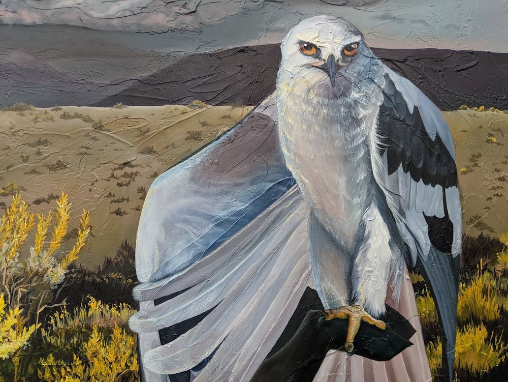 Mdawmdawmdawmdaw7qgraepd6cacehr zcfbfywxu2fyveayeunrgwctqqqltnerwweter6yomfiojy24adow ljj7f22f2vd2s3k0fn 38ezqodftc2xeuhdjufahdziomokxodj3hs jg da6ji5eudq olwagpj5emn5pfwmxpyxpuwu1ahnz1c7chyxweuemqnjru  qqegb3nk5zrttdeoj 7i6qbqwltjpg kxcpppzrvy8rvib cpqcruusfsibfyf4cleqhh153iap0mawgk xirhp ze0whz6jlpxkfzasdyhivwl otrxli0c