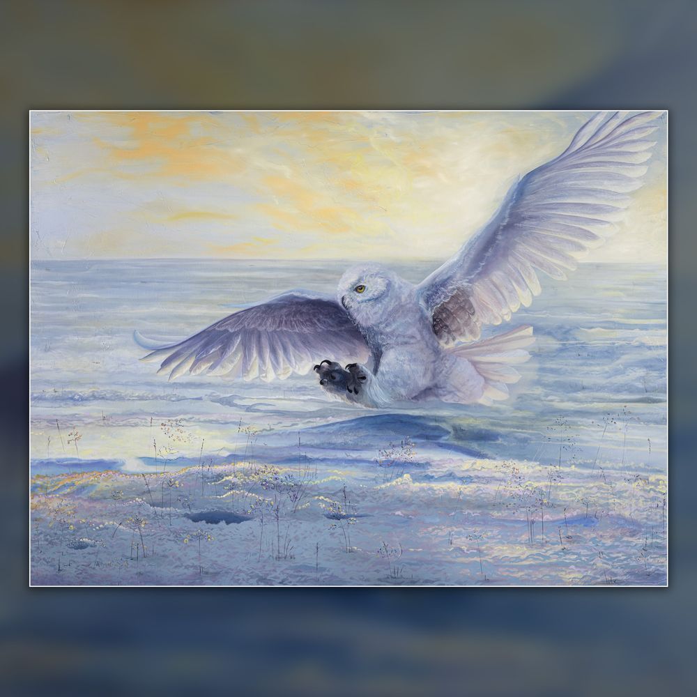 Mdawmdawmdawmdaw7qgraepd6cacehr zcfbfywxu2fyveayeunrgwctqqqltnerwweter6yomfiojy24adow ljj7f22f2vd2s3k0fn 38ezqodftc2xeuhdjufahdziomokxodj3hs jg da6ji5eudq olwagpj5emn5xenkfi9zmdbcfdr9a48vzg2l1d6d56oimapj fa4zk99mmk5kfwtoqot7fpuoidqzxr rcbc9tqgv4atsa7x85dslbhxdif4iejjutej5nmqqro8qdyuy xenmp ze0whz m0ruwtbedi4rvvmdiy0cjsp7ct0rrdmjx9ydogster