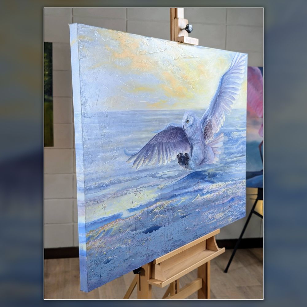 Mdawmdawmdawmdaw7qgraepd6cacehr zcfbfywxu2fyveayeunrgwctqqqltnerwweter6yomfiojy24adow ljj7f22f2vd2s3k0fn 38ezqodftc2xeuhdjufahdziomokxodj3hs jg da6ji5eudq olwagpj5emn5xenkfi9zmdbcfdr9a48vzg2l1d6d56oimaurthbtp38ugzo4gte426liscot1zwoo06zomed9vb4dsewva6dy5dthuzzlyuk5eiw vfpojowaqmjmd3nf h8ih8nrdl55mrzxslfrs75a6xrji5 m6mfhpkmiwl1xd2noxiry0gvtewna9uba57vsuq