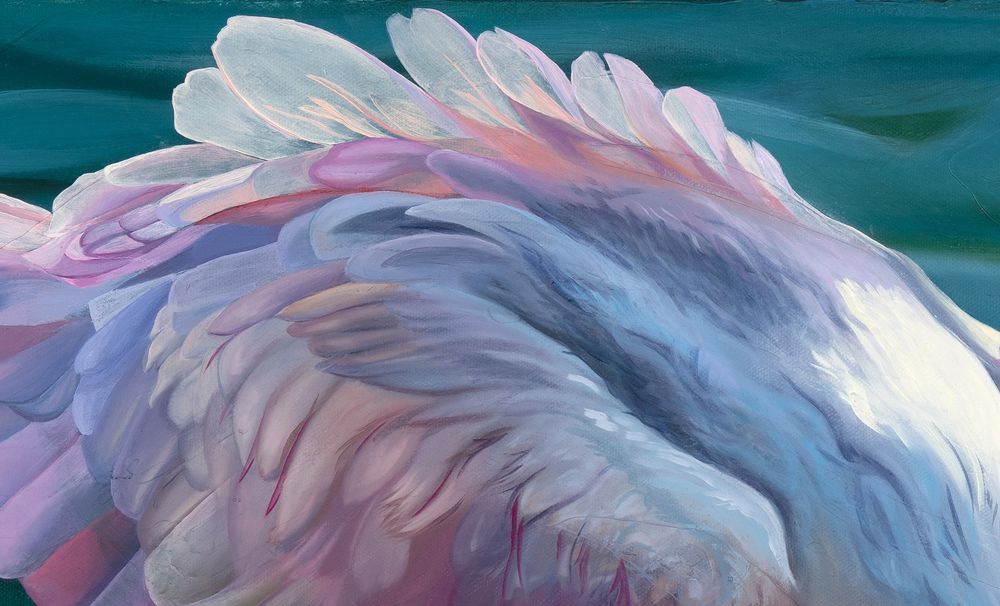 Mdawmdawmdawmdaw7qgraepd6cacehr zcfbfywxu2fyveayeunrgwctqqqltnerwweter6yomfiojy24adow ljj7f22f2vd2s3k0fn 38ezqodftc2xeuhdjufahdziomokxodj3hs jg da6ji5eudq olwagpj5emn5yyw6audrlpw an0zi6cnxbce2sbr68oggbuivquyzxip9kkfgafqh ftlbagwmt1ijpktbrcnvweu4uu3rk4x6npotgycife5eos4vew3nckqvcvid3nmpczvwp  sxhlp 0s6xv5qfi3pigtqffvdpy69vazvrkdiyy