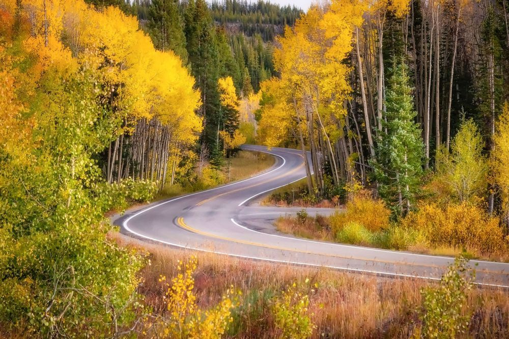 Michael J Bauer Photography – The Road Into Autumn