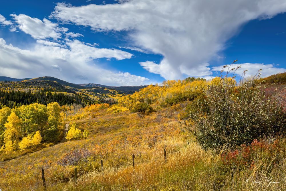Ranch Field In The Fall Photography Art | Michael J. Bauer Photography