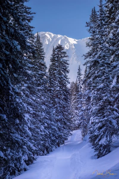 Into The Deep At Mayflower Gulch Photography Art | Michael J. Bauer Photography