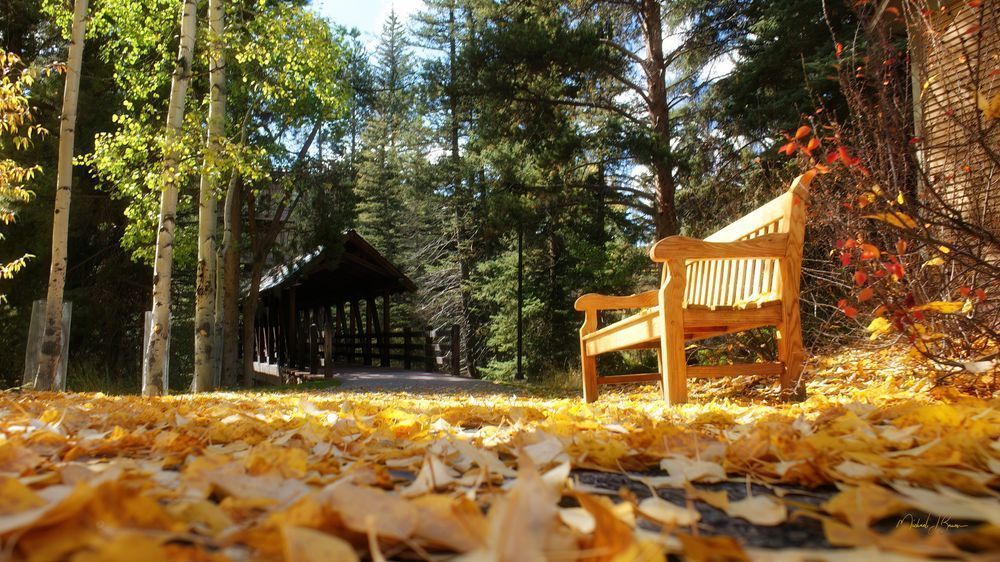 Vail Colorado Fall Day Photography Art | Michael J. Bauer Photography
