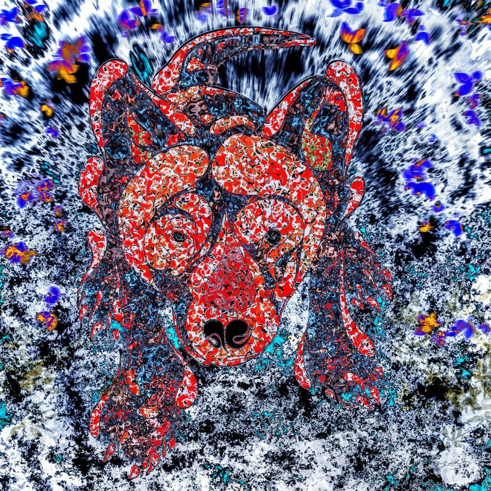 Encroaching Wolf