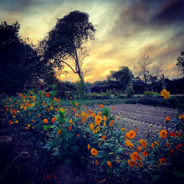 Quail Hill Farm