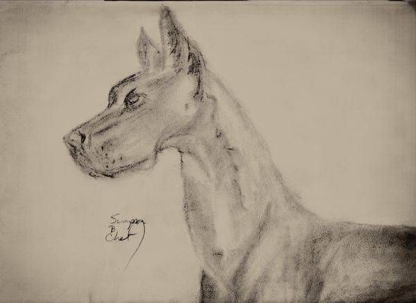 Great Dane Art | chetsimpson