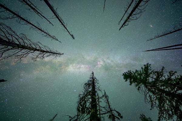 Nightscape