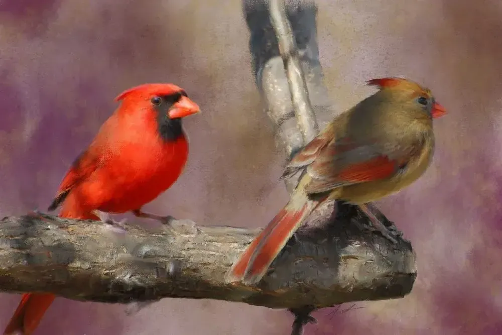           Kim Austin - Fine Art                           