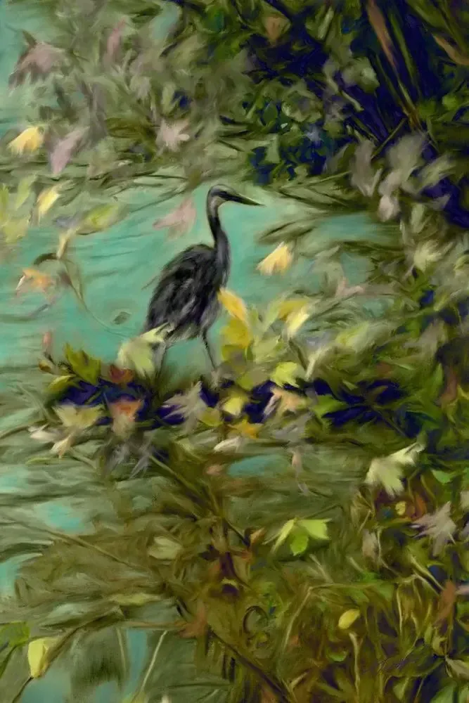           Kim Austin - Fine Art                           
