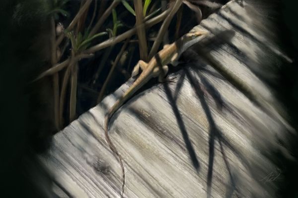 Neighbors In Nature 