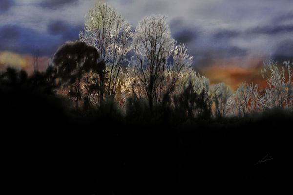Art For Commercial Spaces