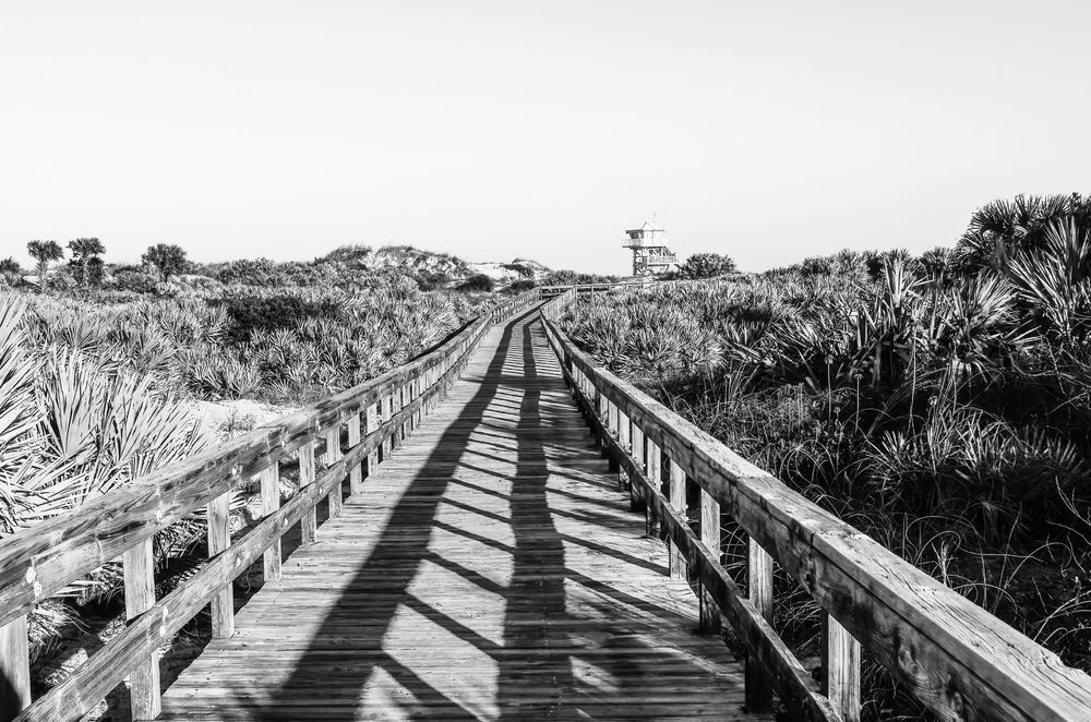 Coastal Boardwalk   Black And White Photography Art | Jen Helton Photography
