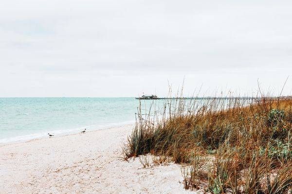 Anna Maria Beach Grass Photography Print | Florida Coastal Wall Art