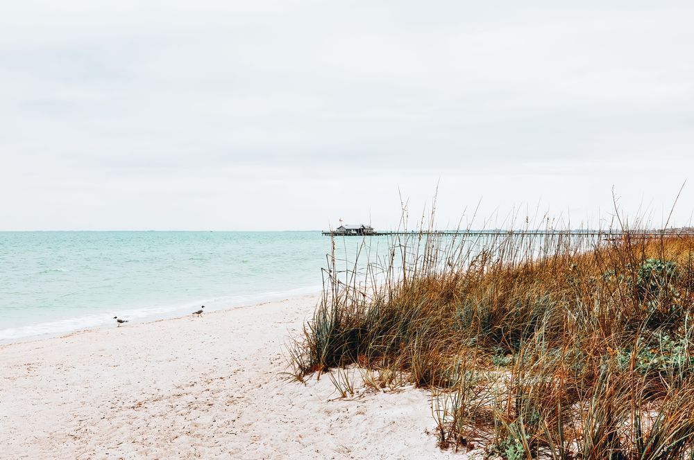 Anna Maria Beach Grass Photography Print | Florida Coastal Wall Art