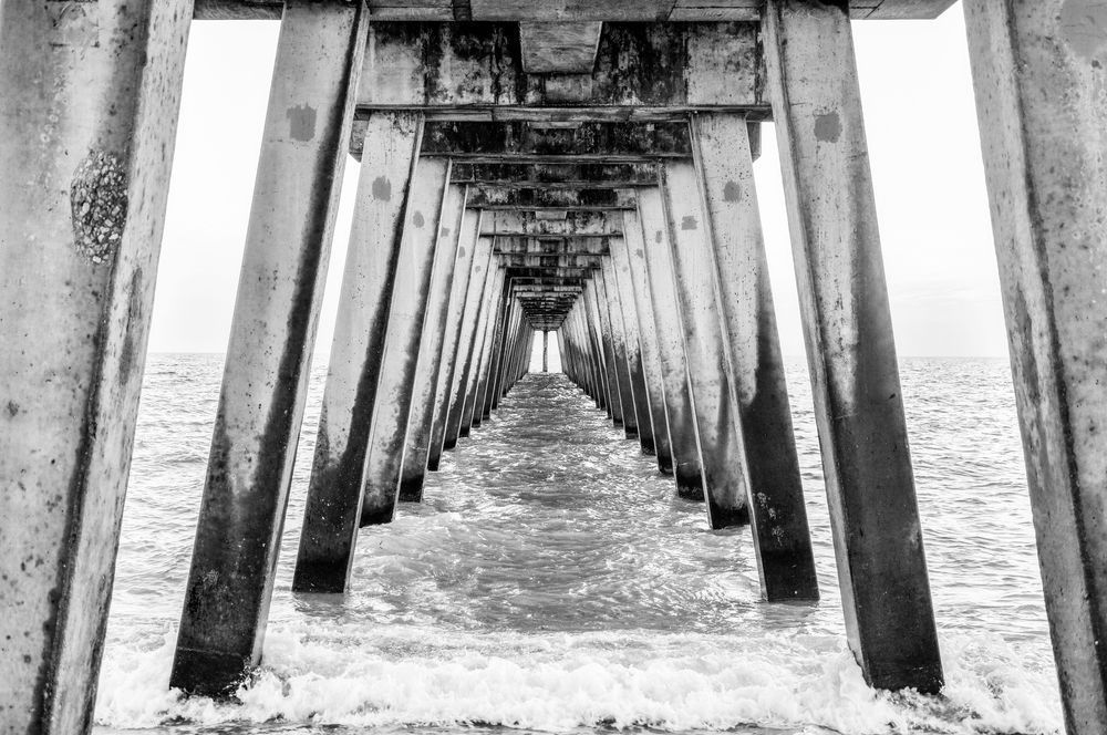 Venice Fishing Pier Florida Black and White Coastal Photography Print