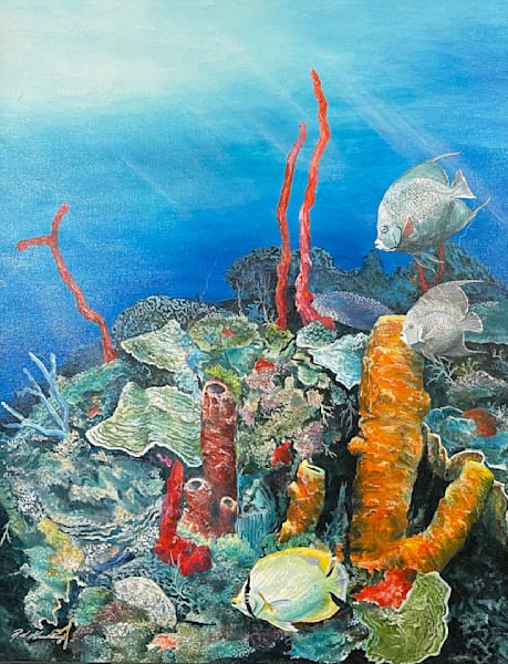 Angel Reef - Jamaica