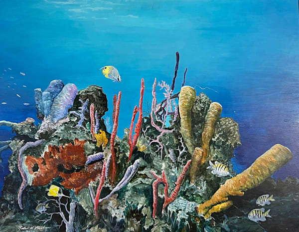 Dickies Reef