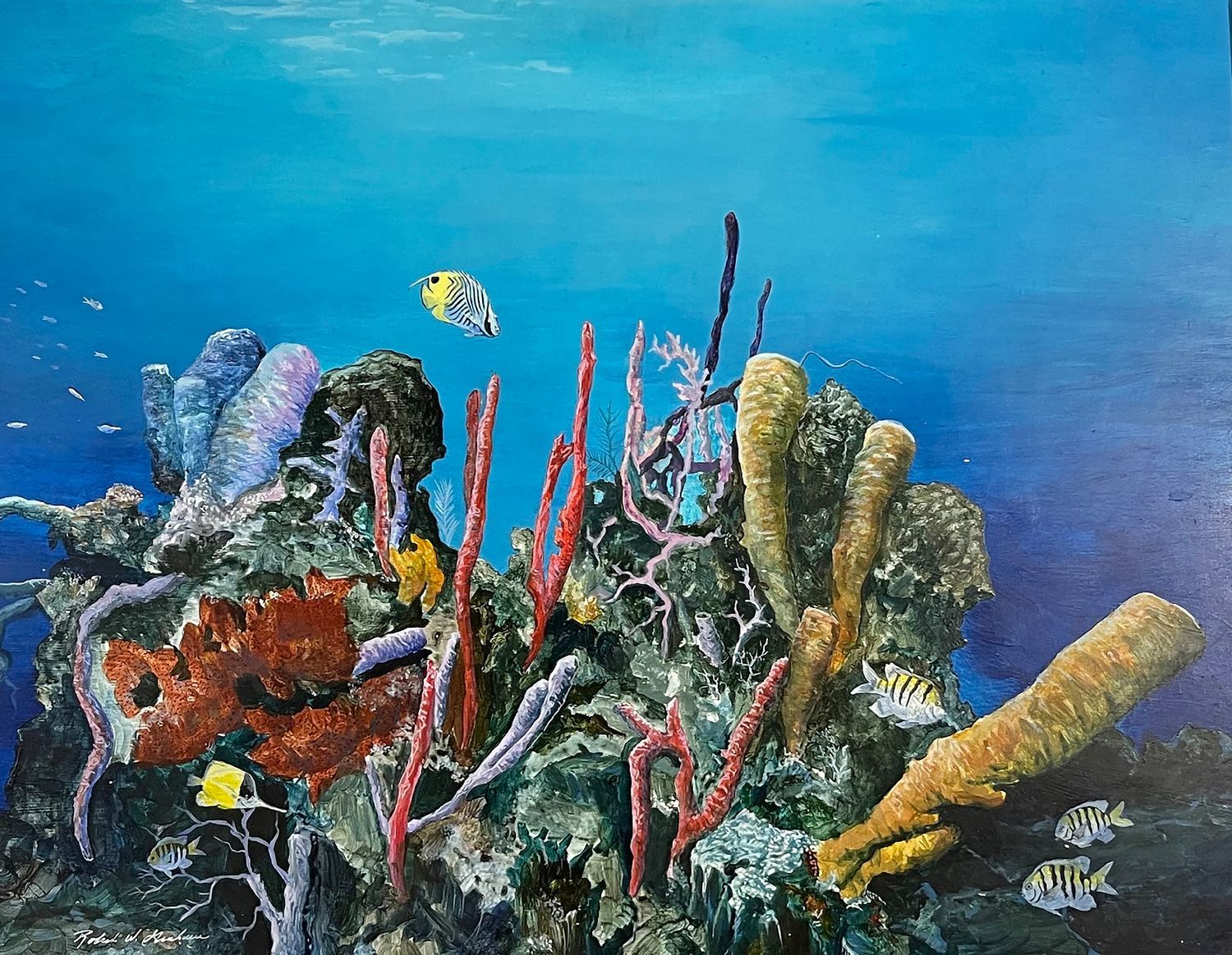 Dickies Reef   Jamaica zaduy9