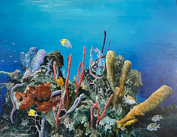 Dickies Reef - Jamaica