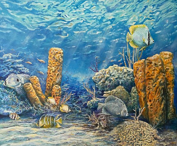 Under the Sea