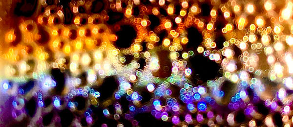 Sparkle Photography Art | Heather Loftes Photography