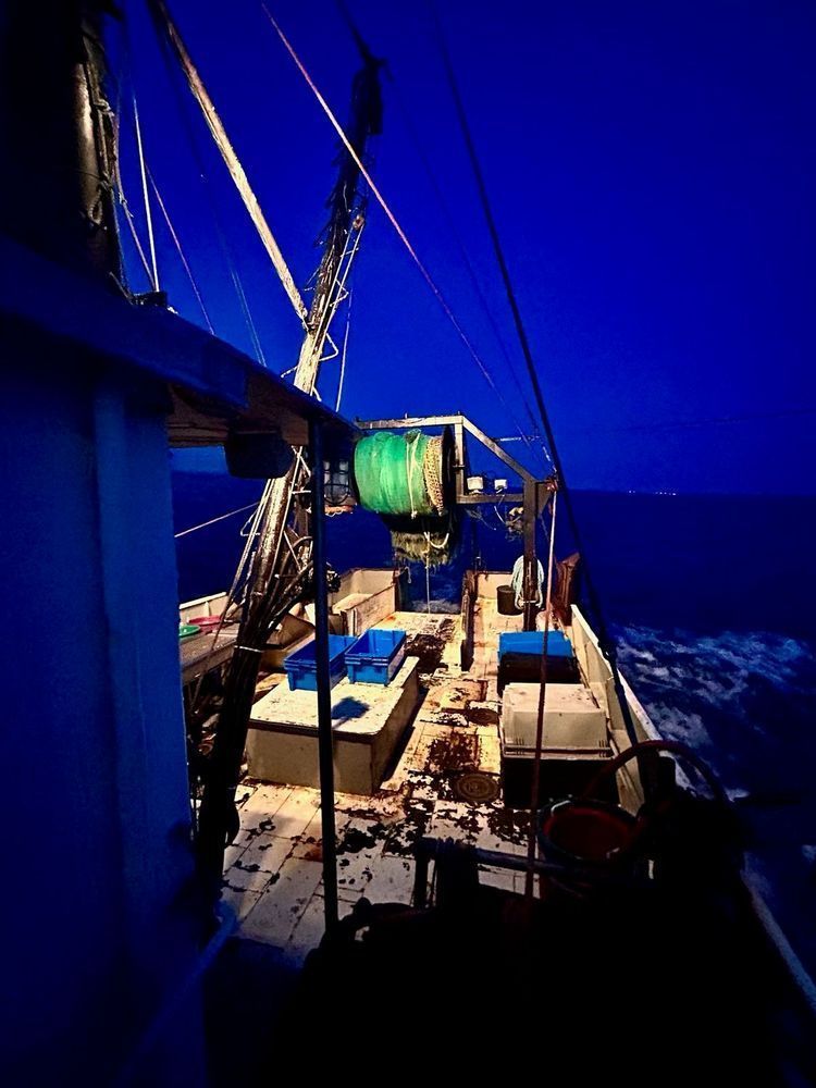 Deck At Dawn Photography Art | Heather Loftes Photography