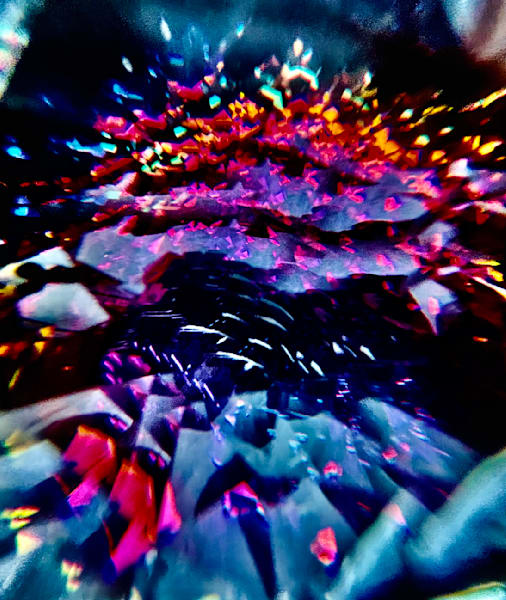 Come Together Photography Art | Heather Loftes Photography