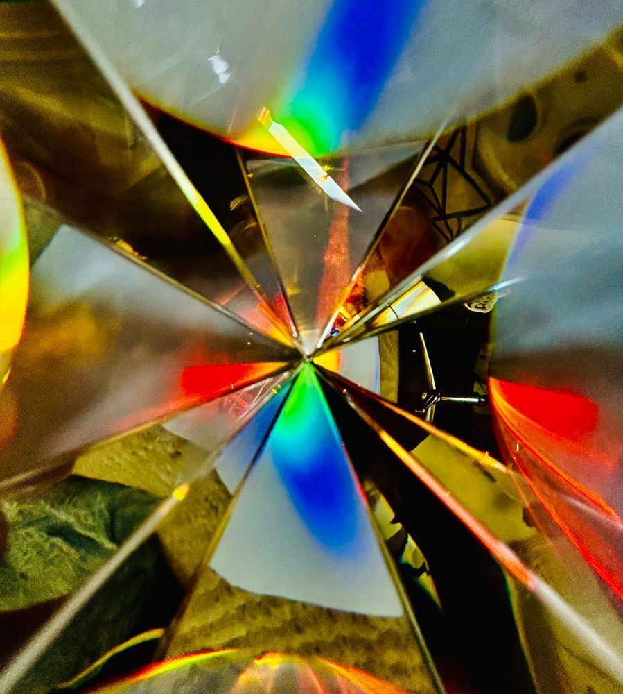 Pointer Photography Art | Heather Loftes Photography