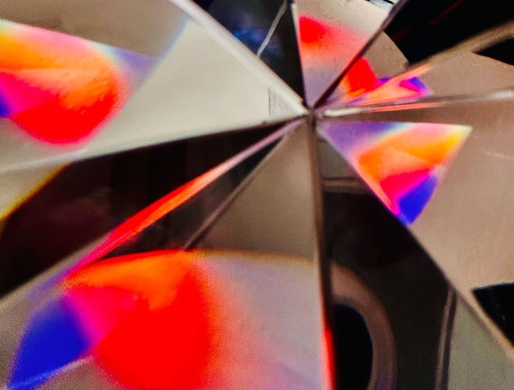 Peach Blossom Photography Art | Heather Loftes Photography