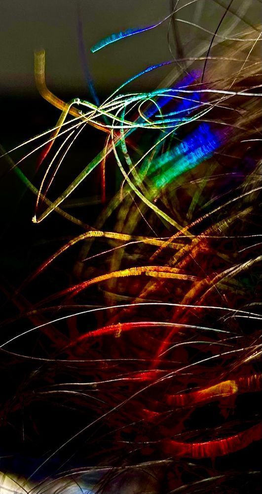 Hair Photography Art | Heather Loftes Photography