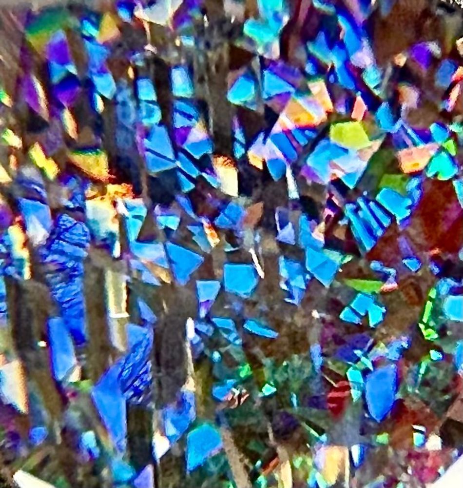 Trees In The Abstract Photography Art | Heather Loftes Photography