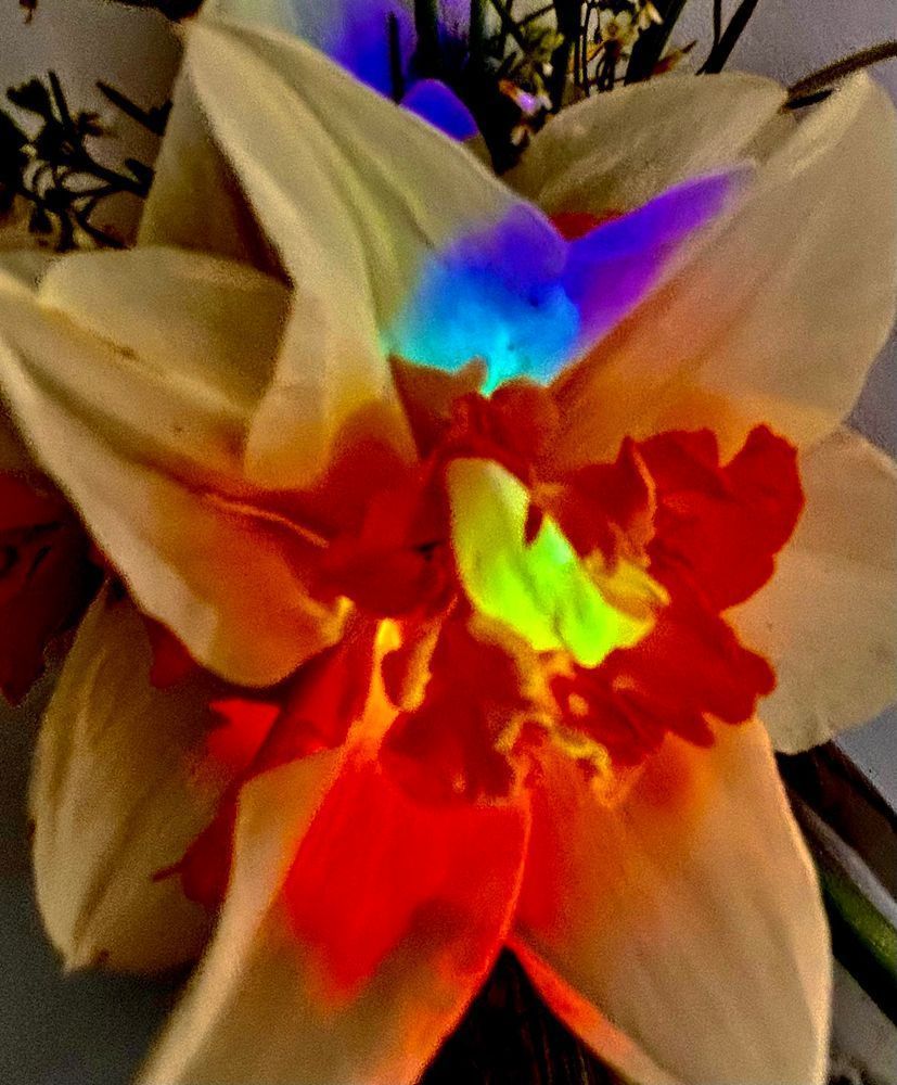 Picked For Mom Photography Art | Heather Loftes Photography