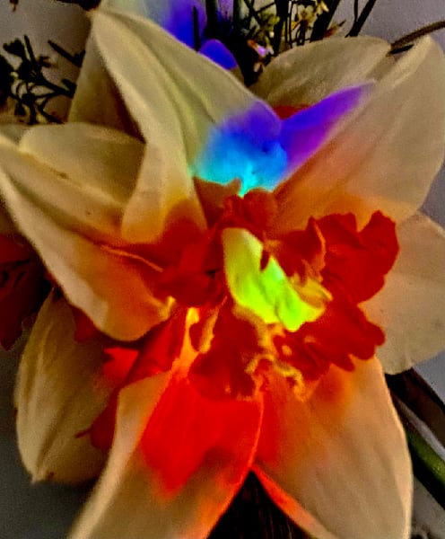 Picked For Mom Photography Art | Heather Loftes Photography