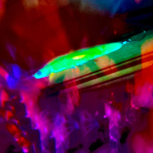 Lure Photography Art | Heather Loftes Photography