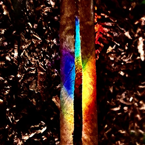 “Gut You Like A Blunt” Photography Art | Heather Loftes Photography