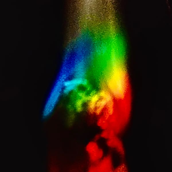 To Be Blunt Photography Art | Heather Loftes Photography