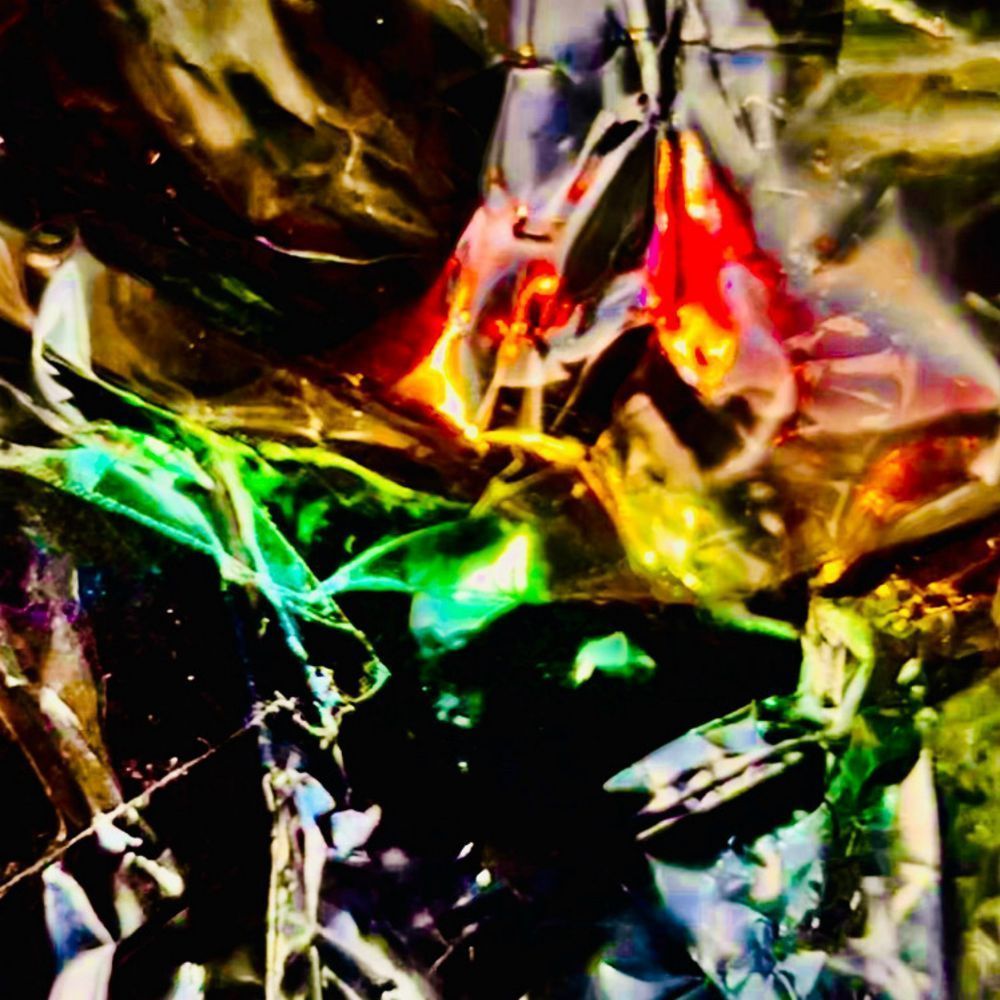 Tinsel Tamer Photography Art | Heather Loftes Photography