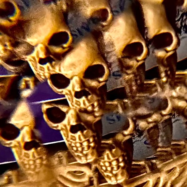 Cracking Skulls Photography Art | Heather Loftes Photography