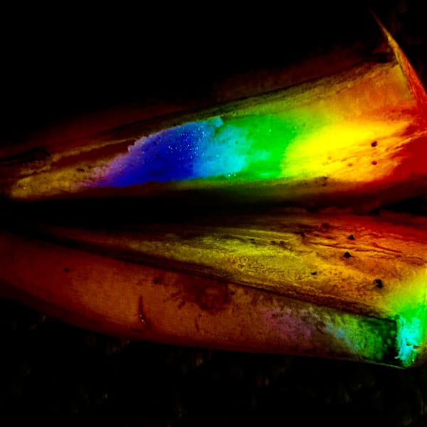 Banana Split Photography Art | Heather Loftes Photography