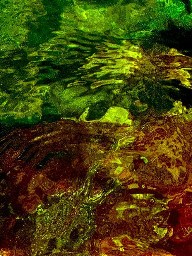 Grenorange Photography Art | Heather Loftes Photography