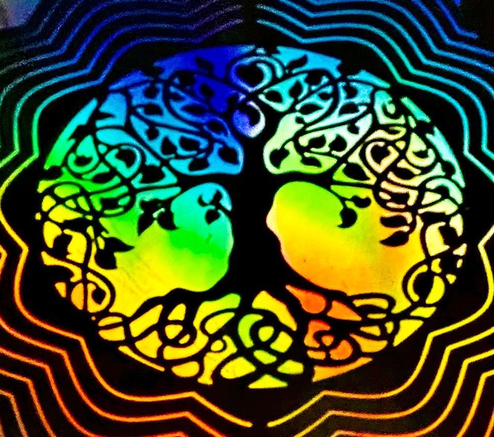 Tree Of Life Photography Art | Heather Loftes Photography