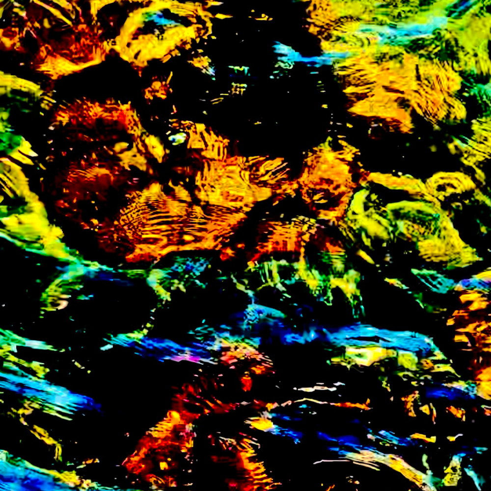 Jamestown Shallows Photography Art | Heather Loftes Photography