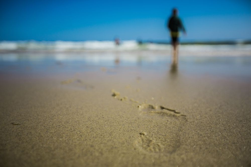 Summer Photography Art | Brian Avenius Photography