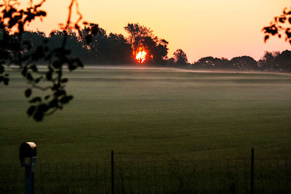 An Ardmore Ridge Morning in June