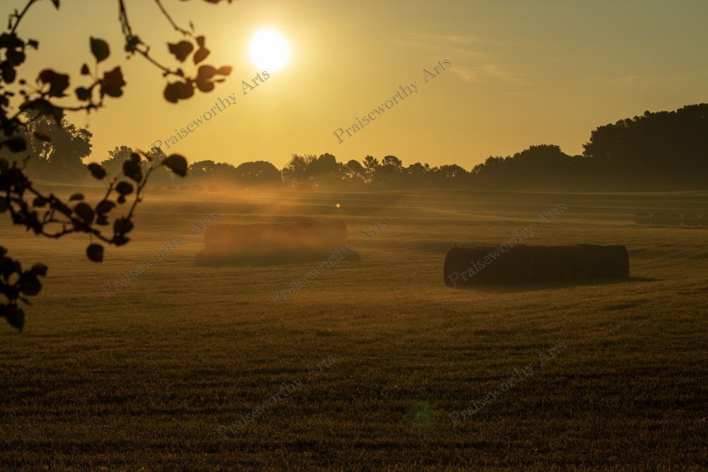 Round Hay Bales with a Foggy Remnant Fine Art Image in Sizes from 6" x 4" to 42" x 28"