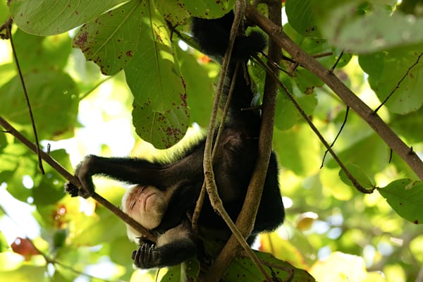 Costa Rica