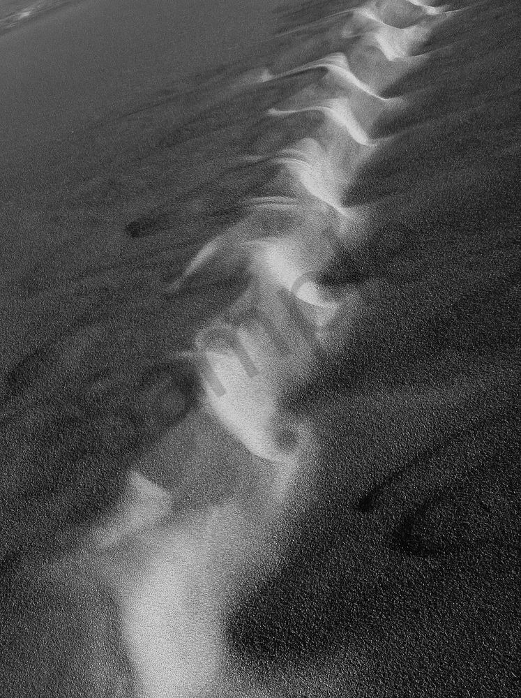 Footsteps In The Sand Photography Art | Radiant Imagination Media, LLC